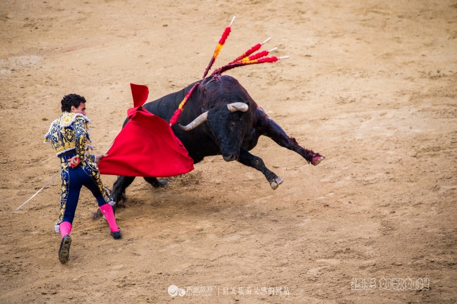 单人举行演唱会，红绿色彩伴舞台。龙蛇混淆祸福多，鼠牛必定来开路打一精准生肖，统计解答解释落实_liy53.00.56