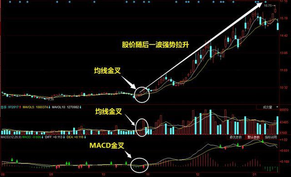 横竖成形非一五，三二合七特马出  打一精准生肖，全面解答解释落实_sz38.30.81